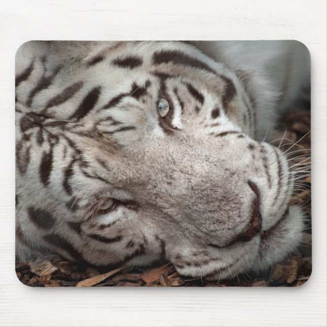 A Watchful Eye Mouse Pad (Front)