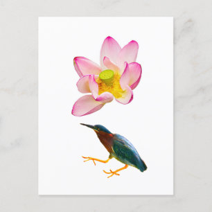 A water lotus and a heron postcard