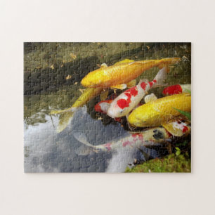 A waterway full of Japanese koi carps Jigsaw Puzzle