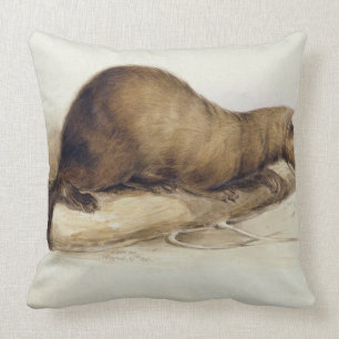 A Weasel, 1832 (w/c, pen, ink, gouache and gum ove Cushion