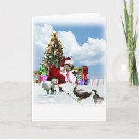 A Web Footed Christmas
