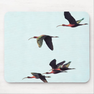 A Wedge of Ibises In Flight Mouse Pad