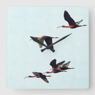 A Wedge of Ibises In Flight Square Wall Clock