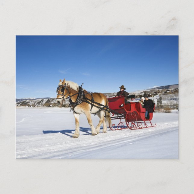 A Western Christmas - Horse Christmas Sleigh Holiday Postcard (Front)