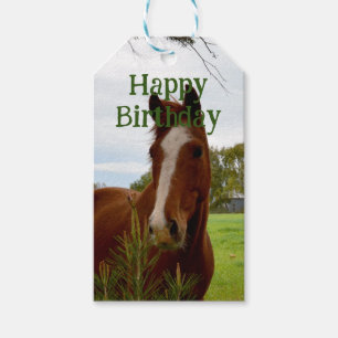 "A Whiff of Nature: A Chestnut Horse and Banksia, Gift Tags
