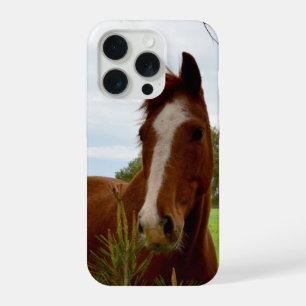 "A Whiff of Nature: A Chestnut Horse and Banksia, iPhone 15 Pro Case