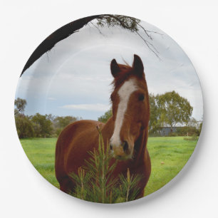 "A Whiff of Nature: A Chestnut Horse and Banksia, Paper Plate
