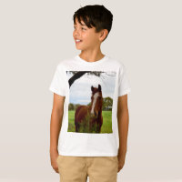"A Whiff of Nature: A Chestnut Horse and Banksia,