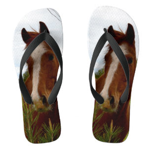 "A Whiff of Nature: A Chestnut Horse and Banksia, Thongs