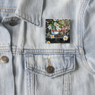 A white and blue pot of wild daisies on a shelf 15 cm square badge