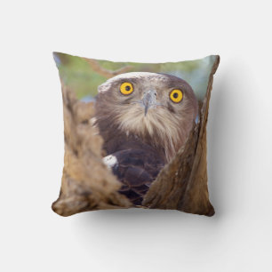 A White-breasted Snake Eagle Cushion