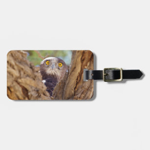 A White-breasted Snake Eagle Luggage Tag