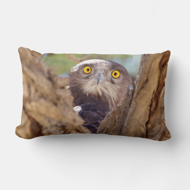 A White-breasted Snake Eagle Lumbar Cushion (Front)