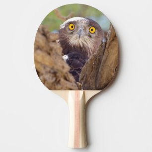 A White-breasted Snake Eagle Ping Pong Paddle