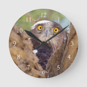 A White-breasted Snake Eagle Round Clock