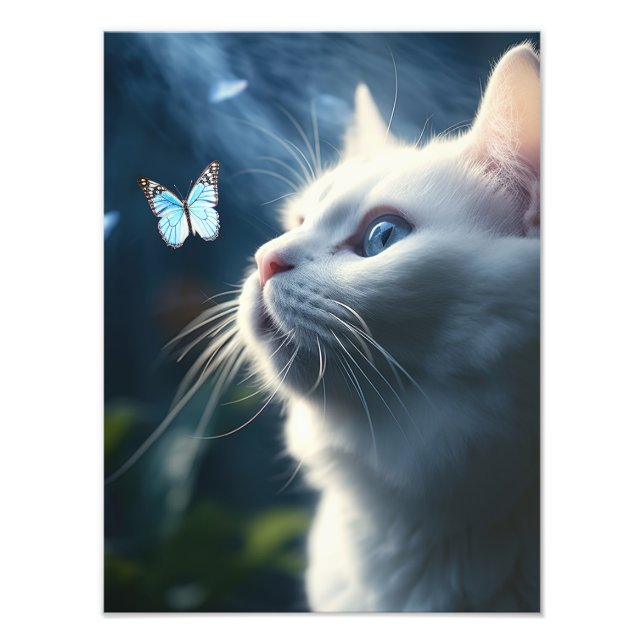 A White Cat with Blue Eyes Looks at a Butterfly Photo Print (Front)