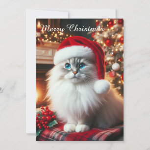A white cat with Santa hat Holiday Card