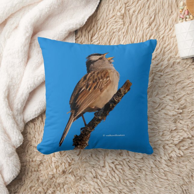 A White-Crowned Sparrow Sings to the Sun Cushion (Blanket)