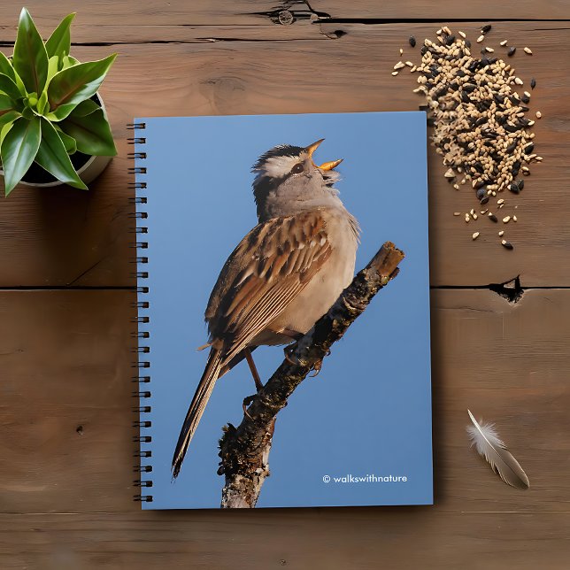 A White-Crowned Sparrow Sings to the Sun Notebook (White-Crowned Sparrow Sings to the Sun Journal Cover Photo)