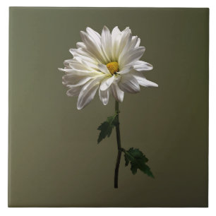 A White Daisy Ceramic Tile