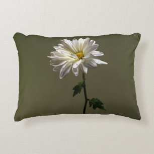 A White Daisy Decorative Cushion