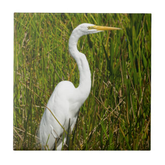 A White Egret in the Marsh Ceramic Tile