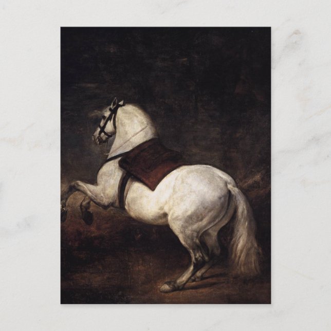 A White Horse by Diego Velazquez Postcard (Front)