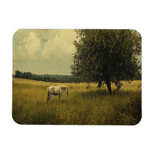 A White Horse Grazing In A Field Magnet