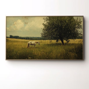 A White Horse Grazing In A Field Poster