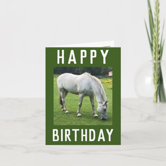 A White Horse Image on a Birthday Card (Front)