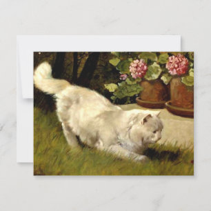 A White Persian Cat Watching a Ladybug Card