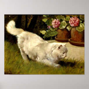 A White Persian Cat Watching a Ladybug Poster