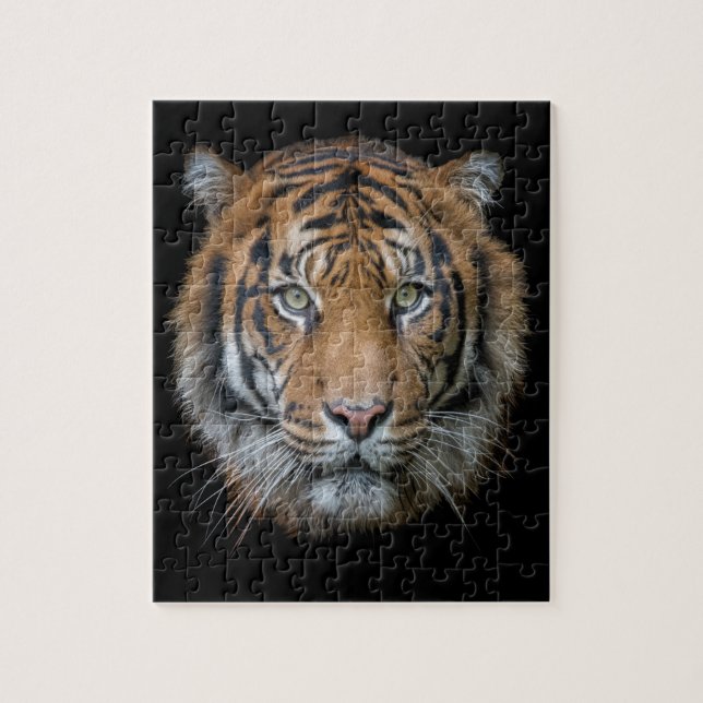 A wild Bengal Tiger face Jigsaw Puzzle (Vertical)
