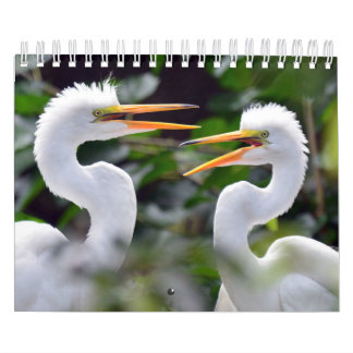 A Wild Calendar Featuring Wildlife Photos