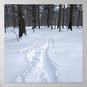 A Winding Path Through the Silence of a Snow-Drenc Poster
