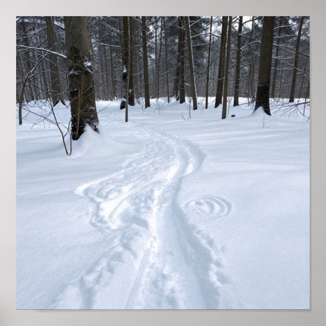 A Winding Path Through the Silence of a Snow-Drenc Poster (Front)