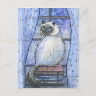 A winter cat. postcard