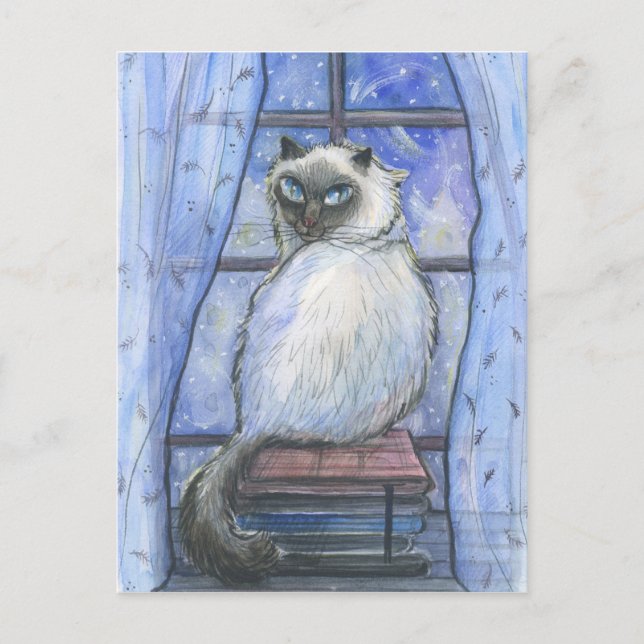 A winter cat. postcard (Front)