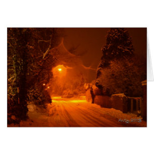 A Winter Night