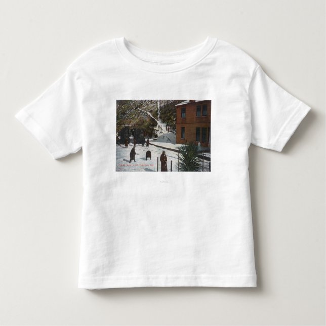A Winter Scene, Adults Playing in Snow Toddler T-Shirt (Front)