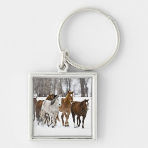 A winter scenic of running key ring