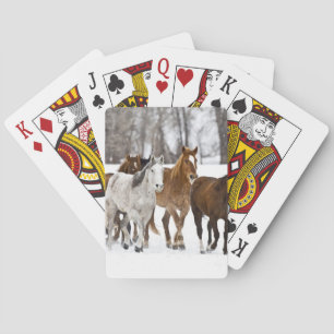 A winter scenic of running playing cards
