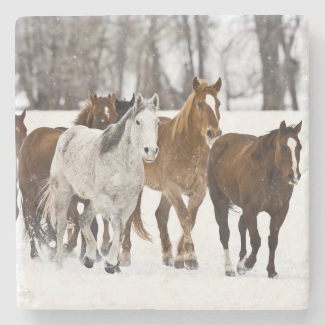 A winter scenic of running stone coaster (Front)