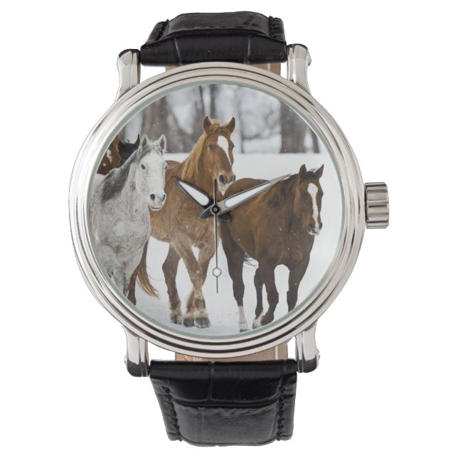 A winter scenic of running watch (Front)