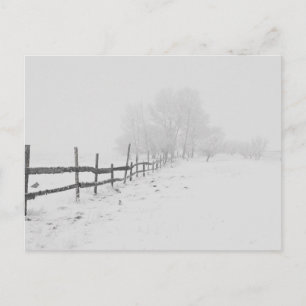 A Winter Snow Scene Postcard