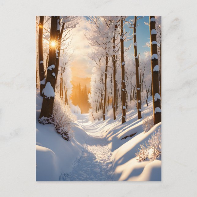 A winter wonderland awaits you on this snow-covere postcard (Front)