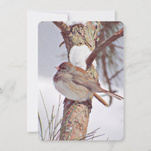 A Winter's Day Card