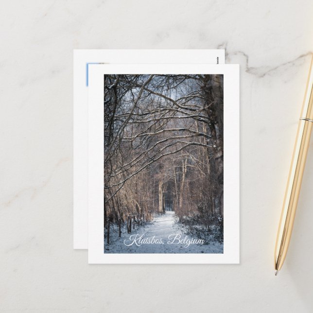 A Winters Day in Kluisbos Belgium Holiday Postcard (Front/Back In Situ)