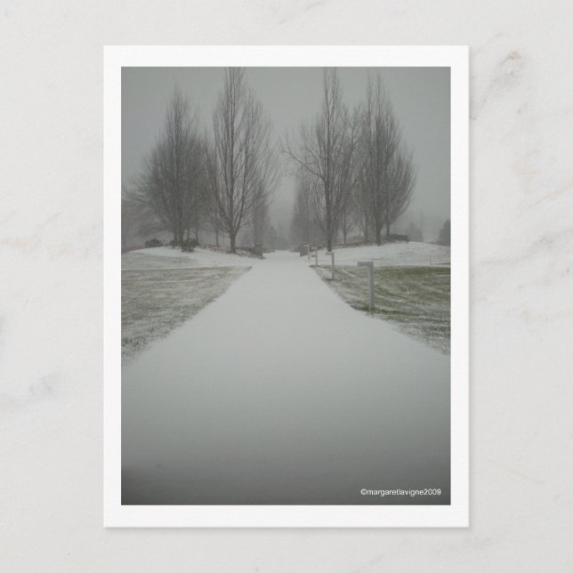 A Winter's Path.... Postcard (Front)