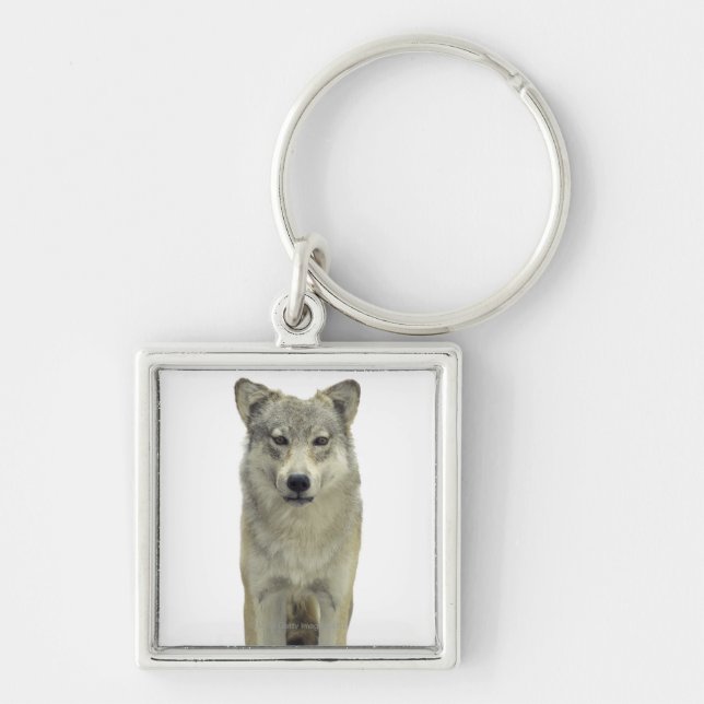 A wolf key ring (Front)